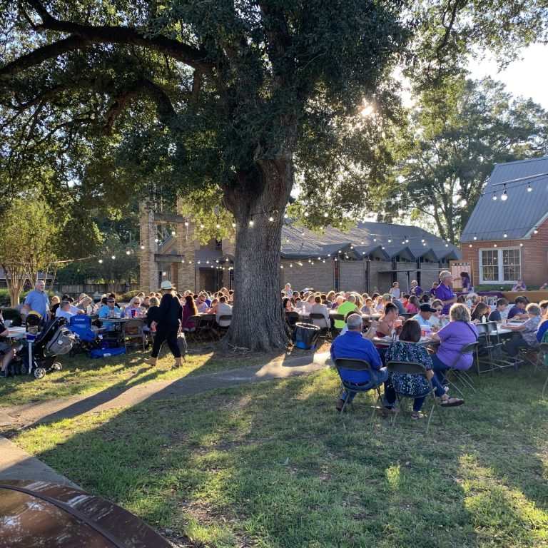 PIC St Francis de Sales Fair