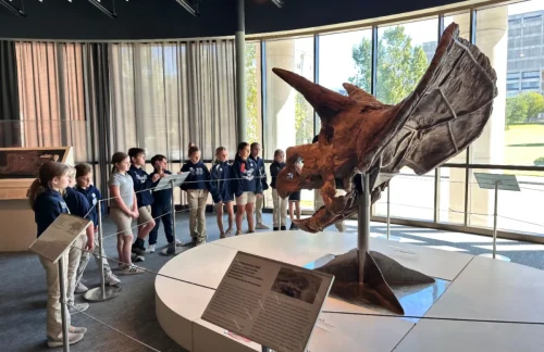 St. Joseph School field trip to Louisiana Art & Science Museum in Baton Rouge